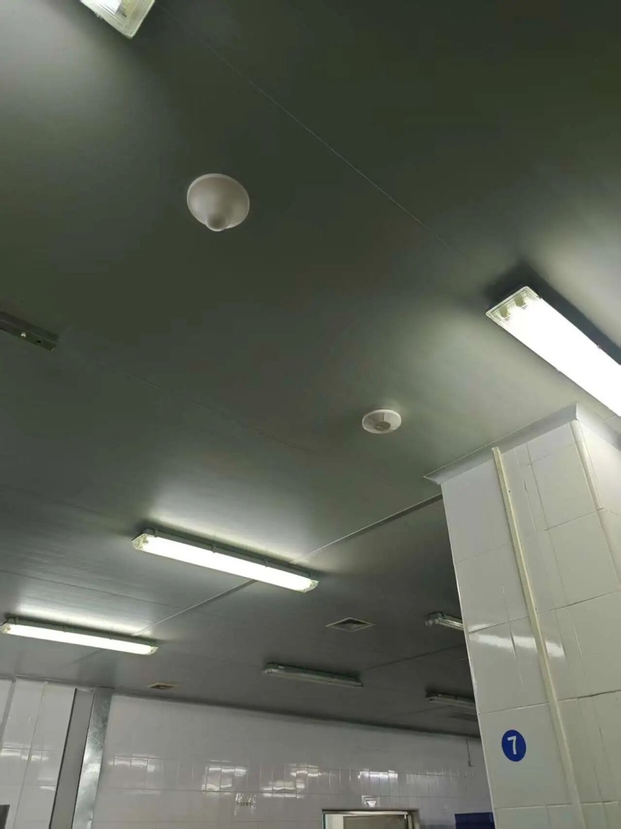 https://www.lintratek.com/lintratek-service-item/