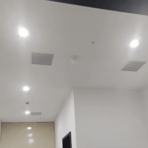 Ceiling Antenna site