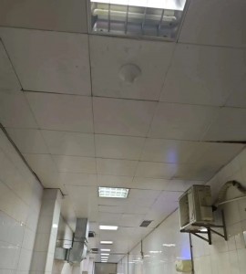 https://www.lintratek.com/lintratek-service-item/
