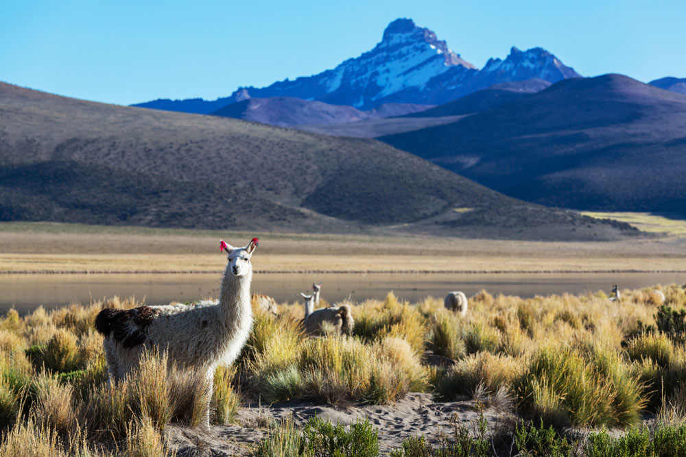 mountains-bolivia